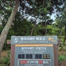 용머리큰길 | 제주) 용머리해안 올레길 10코스 트레일 런닝🏃‍♀️ 산방산뷰와 함께한 힐링 코스