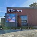 당촌리카메 이미지