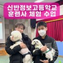 신반정보고등학교 이미지