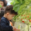 평동서초등학교 이미지