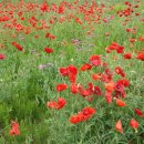 경일장여관 이미지