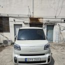 서울애견미용실 이미지