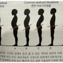 짐앤피티 네이버블로그
