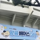 곰만두 | 240919 두산vs기아 망곰데이 직관후기(부제: 승요망곰과 돌아온 물만두 그리고 낡지마 천유ㅜㅜ)