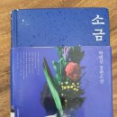 촐라체 | 박범신 장편소설 『소금』독서후기 아버지의 삶과 가족의 무게