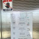 리버레인 이미지