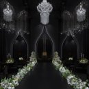 벨라마레 이미지