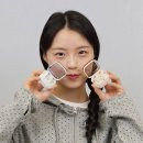 단 데일리안