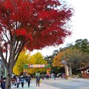 친정 가족 여행 | 문경 한옥펜션문 문경새재 전동차 문경사과축제 🍎