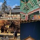 주경자원 | [후기] 나혼자 공주 마곡사 템플스테이 휴식형 추천 : 1박 2일 후기(+비용 / 대전근교 템플스테이 추천)