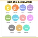 키움태권도장 | 종근당 젤튼튼 찐 후기(팩폭)