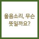 소리별 이미지