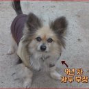 베테랑목장 이미지