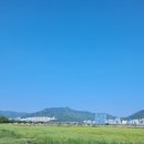 사덕시장 이미지