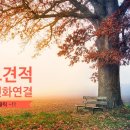 금아드림팰리스 네이버블로그