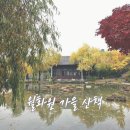 효원 | 월화원 수원 단풍 후기｜효원공원 주차·가을 산책 코스