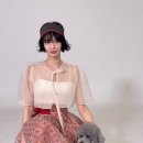 나나애견 이미지