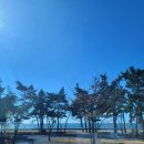 어은돌캠프캠프