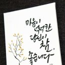 노신사 Daum카페