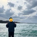 고재영빵집 | 제주 여행기 (12/21 ~ 12/27)