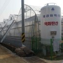 우듬지농장 이미지