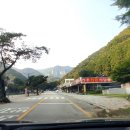 가인야영장 이미지