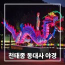 여기요식당 | 대구 수성구 연등 명소 천태종 사찰 동대사 야경 후기