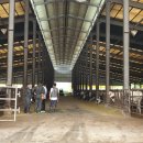 평서원목장 이미지