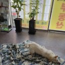 복순이공인중개사사무소 이미지