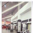 골드휘트니스헬스 | 골드에스휘트니스 PT, 내 운동 루틴 변화 후기