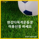 한강다목적운동장 축구장 이미지