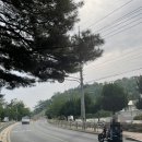 동대부속유치원 | [경주 / 금장,충효] 등산 &#39;동국대유치원-옥녀봉-충효큰마을&#39; 코스
