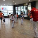 용인대 태권얍 이미지