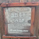 들꽃이야기 | [강원도 원주 카페]들꽃 이야기Ⅰ토토미 누룽지 커피와 휘낭시에Ⅰ낭만적인 산 속 카페