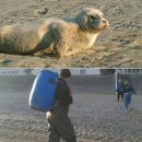 어부와바다와시 이미지