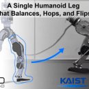 공중제비 이미지