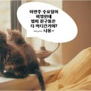 11월17일[월요일]범방 출석부~*^^* 제 4회 74범띠 띠별DAY 벙개모임 개최안내 이미지