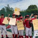 한국티볼연맹 OSEN