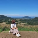 구좌주유소 이미지