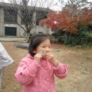 유촌초등학교병설유치원 이미지