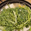 생태한마리 이미지