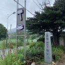 금성에서 온 언니
