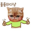 강서족발 이미지