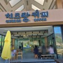 구례군청 | 구례 지리산 치즈랜드 수선화, 봄 여행지로 딱!