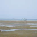 용두해수욕장 숲속야영장 이미지