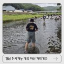 거락숲 대량마을 | 실망했습니다. 경남 마산 취사가능한 거락계곡 물놀이 실시간