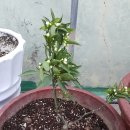 금굴농장 이미지