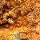 고성농장 이미지