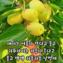 ♤내 인생에 힘이 되어준 한 마디♧ 이미지