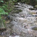 안정농장 이미지